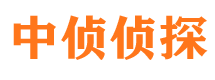 四平市私家侦探